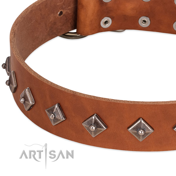 Exquisite collar of full grain leather for your lovely dog