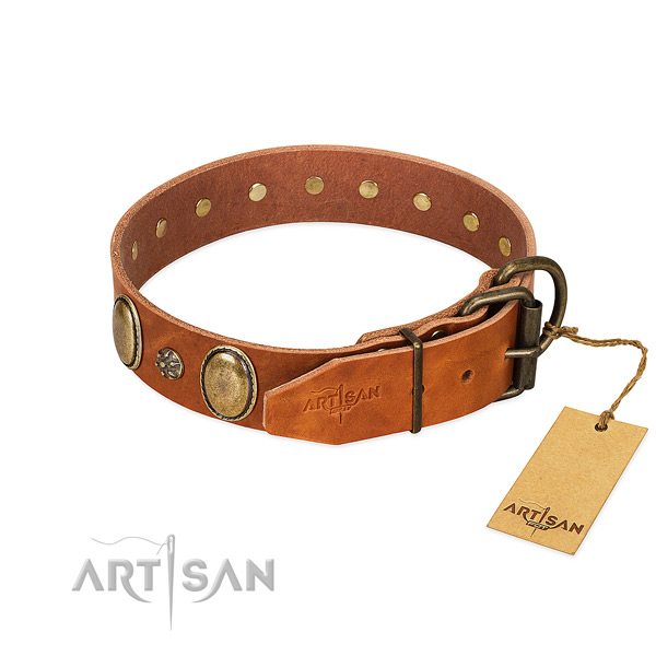 Daily use high quality full grain natural leather dog collar