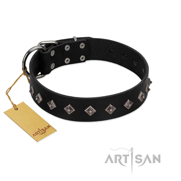 Full grain leather dog collar with incredible adornments made four-legged friend