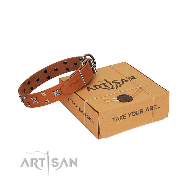 Soft full grain natural leather dog collar with studs for everyday walking