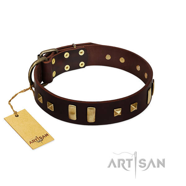 Gentle to touch full grain natural leather dog collar with decorations for daily walking