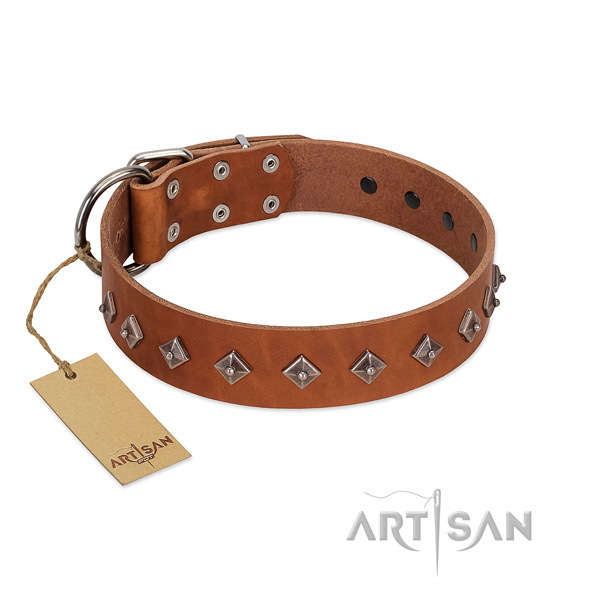 Genuine leather dog collar with stylish design embellishments crafted doggie