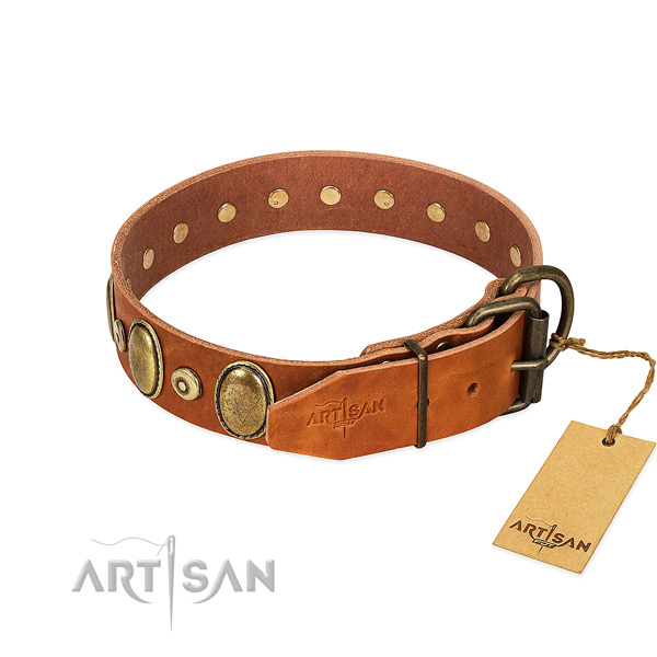Rust resistant buckle on everyday walking collar for your doggie