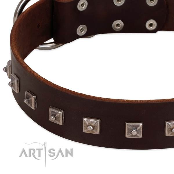 High quality leather collar with decorations for your dog