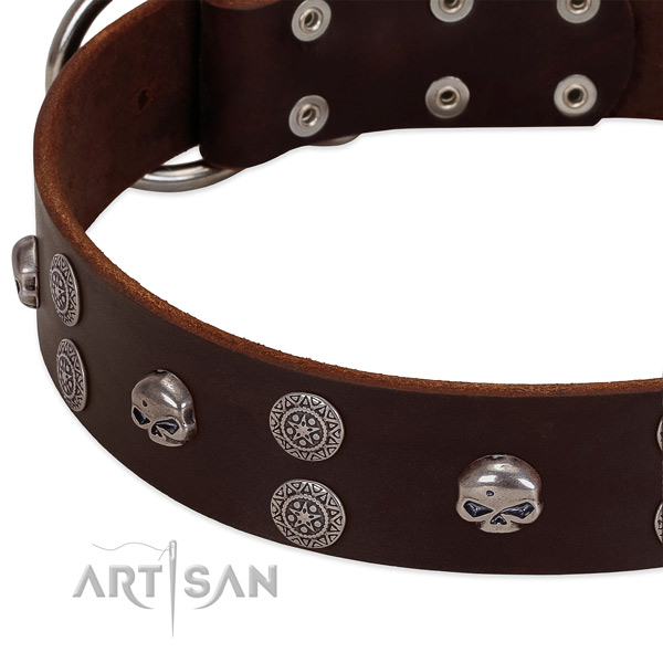 Reliable genuine leather dog collar with exceptional decorations