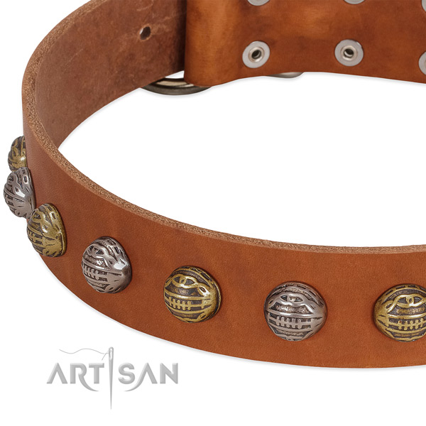 Strong hardware on leather collar for daily walking your four-legged friend