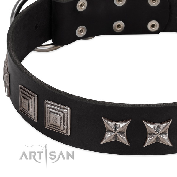 Comfortable wearing natural leather dog collar with unusual embellishments
