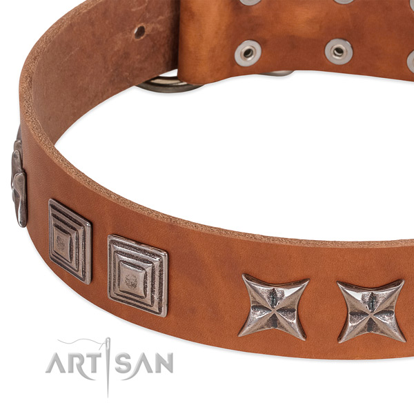 Quality natural leather dog collar with durable traditional buckle