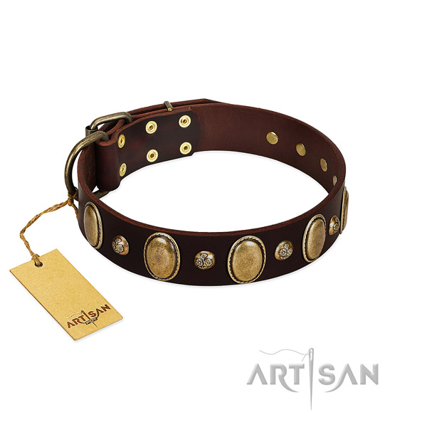 Full grain leather dog collar of top notch material with extraordinary decorations