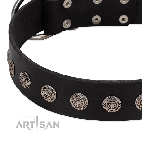 Extraordinary full grain natural leather collar with studs for your pet