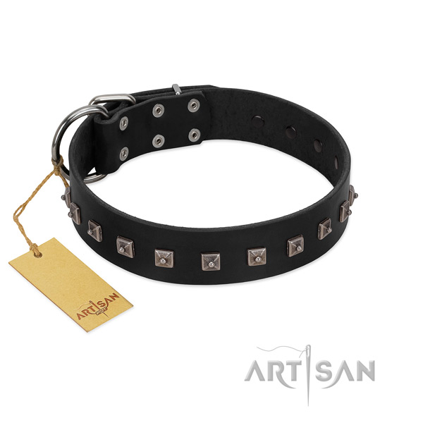 Fashionable decorated leather dog collar