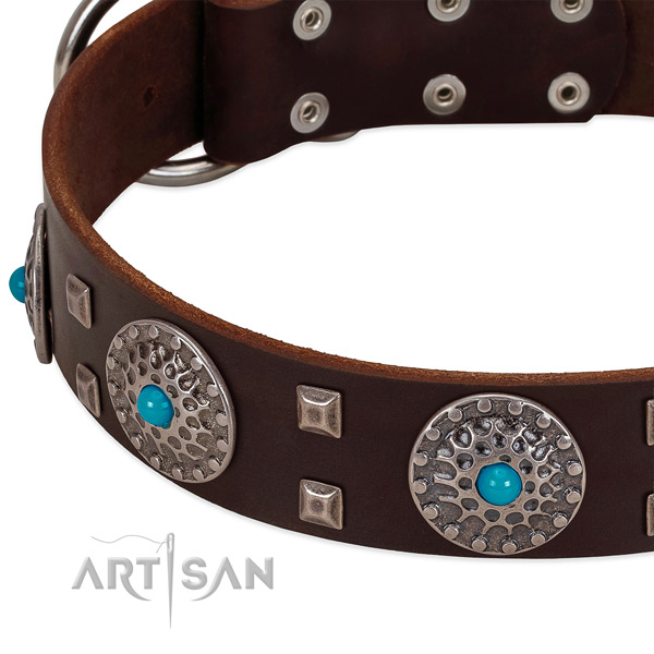 Top notch natural leather dog collar with inimitable embellishments