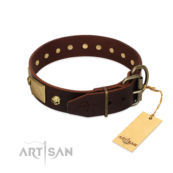 Quality natural leather dog collar with corrosion resistant studs