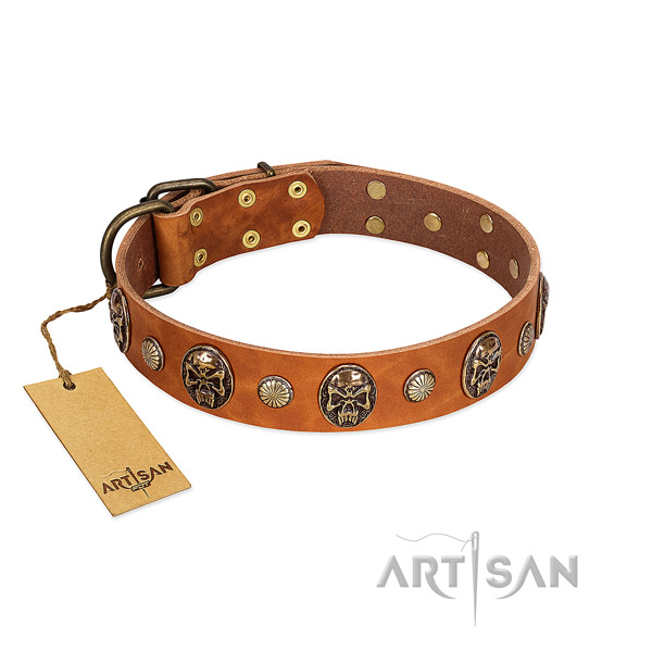 Incredible full grain natural leather dog collar for walking