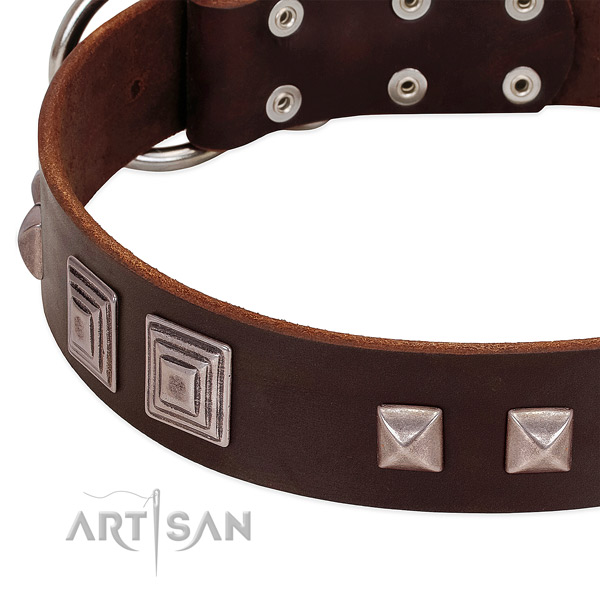 Rust resistant traditional buckle on full grain leather dog collar for daily use