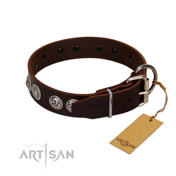 Significant full grain genuine leather collar for your dog walking in style