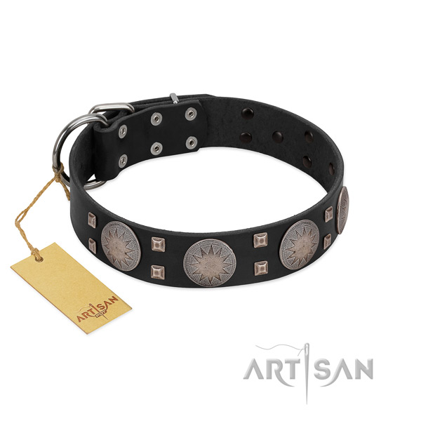 Extraordinary genuine leather dog collar for stylish walking your doggie