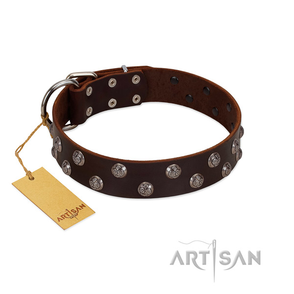 Flexible leather dog collar with adornments