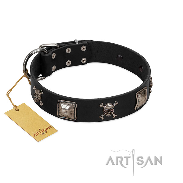 Fashionable adorned full grain genuine leather dog collar