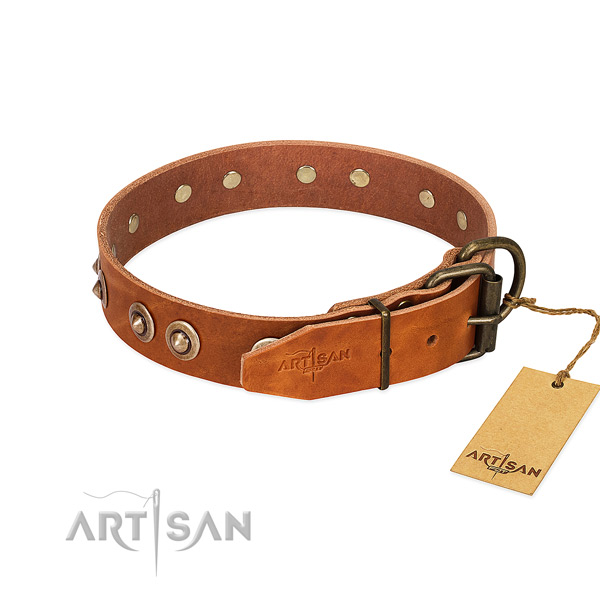 Rust-proof decorations on full grain leather dog collar for your canine