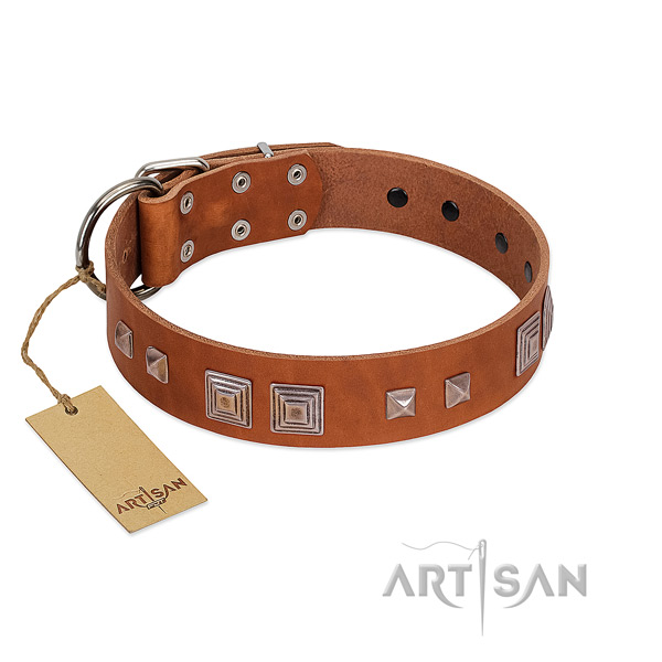 Reliable D-ring on full grain natural leather dog collar for easy wearing