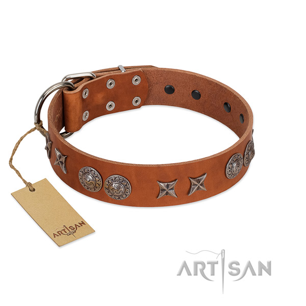 Full grain genuine leather collar with stylish studs for your doggie