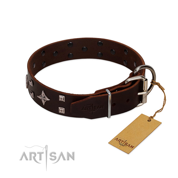 Exquisite leather collar for your four-legged friend walking
