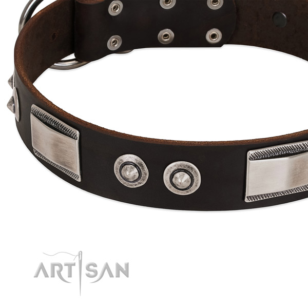 Incredible genuine leather collar for your dog