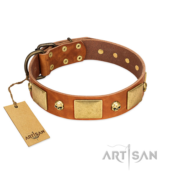 Strong genuine leather dog collar with rust resistant embellishments