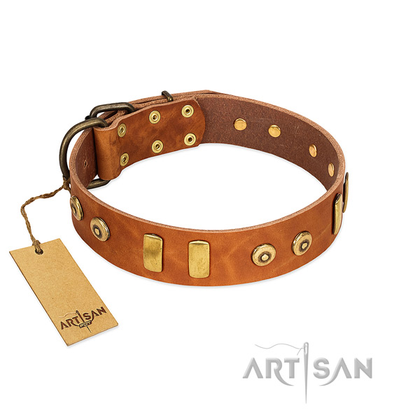 Leather dog collar with inimitable decorations for comfy wearing