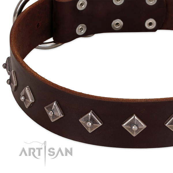 Significant collar of natural leather for your lovely four-legged friend