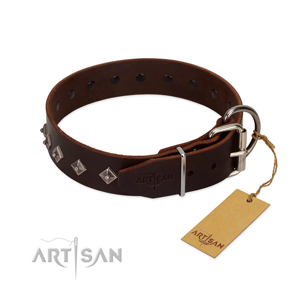 Stunning embellishments on leather collar for comfortable wearing your four-legged friend