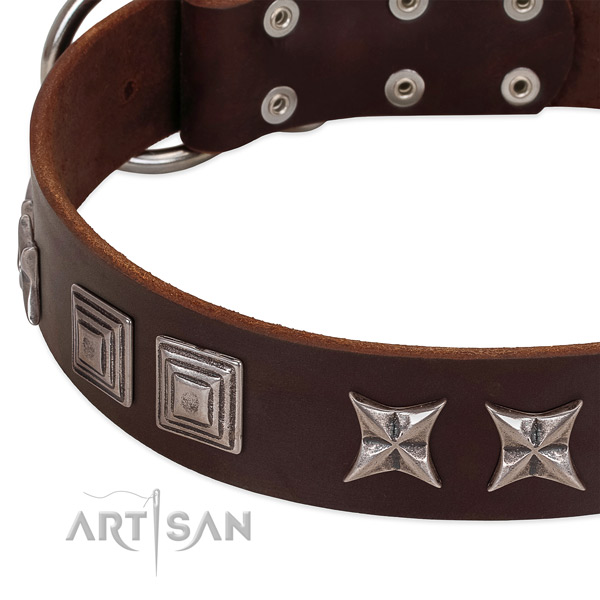 Comfortable wearing full grain leather dog collar with inimitable adornments
