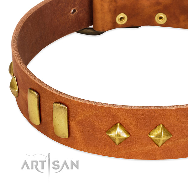 Daily use full grain leather dog collar with extraordinary decorations