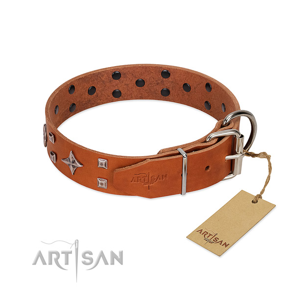Top notch full grain genuine leather collar for your canine stylish walks