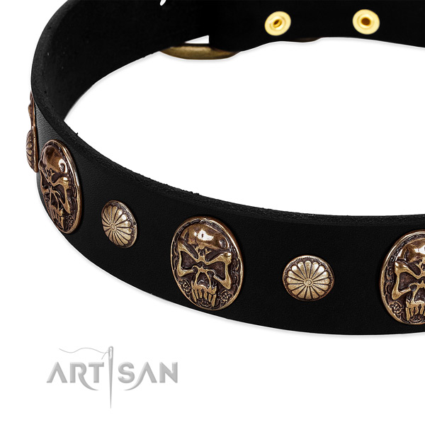 Full grain leather dog collar with trendy studs
