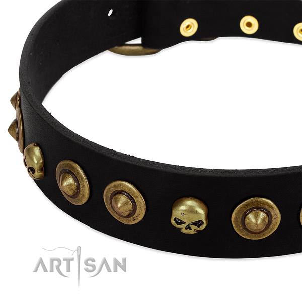Leather dog collar with stylish embellishments