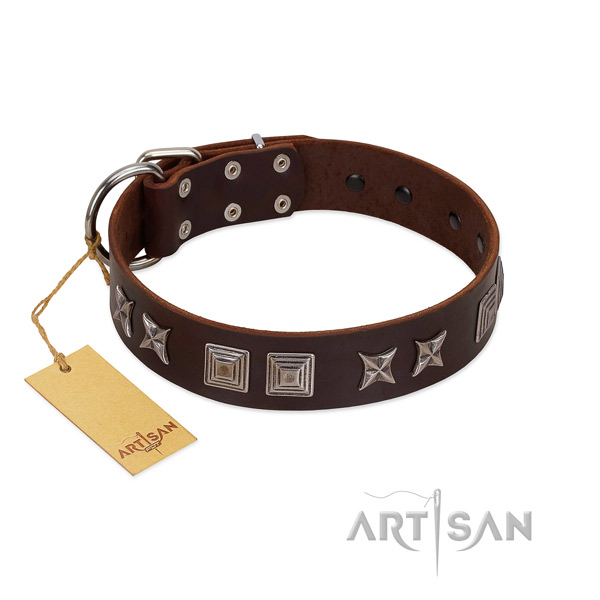 Leather dog collar with inimitable decorations handcrafted canine