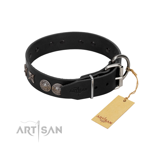 Everyday walking dog collar of leather with extraordinary decorations