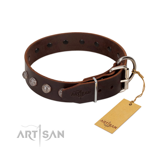 Convenient dog collar handmade for your impressive dog