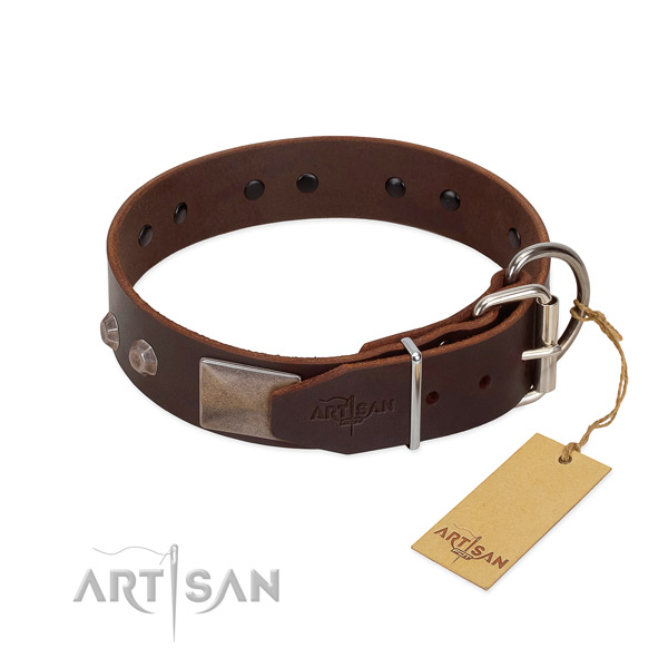 Significant full grain leather dog collar for everyday walking your doggie