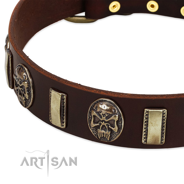Rust-proof buckle on natural genuine leather dog collar for your canine