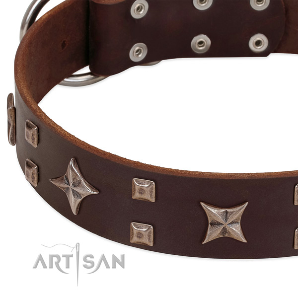 Reliable hardware on genuine leather collar for walking your doggie
