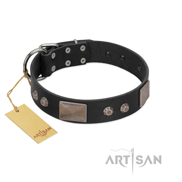 Easy to adjust natural leather dog collar with rust resistant traditional buckle