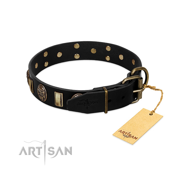 Leather dog collar with reliable traditional buckle and decorations