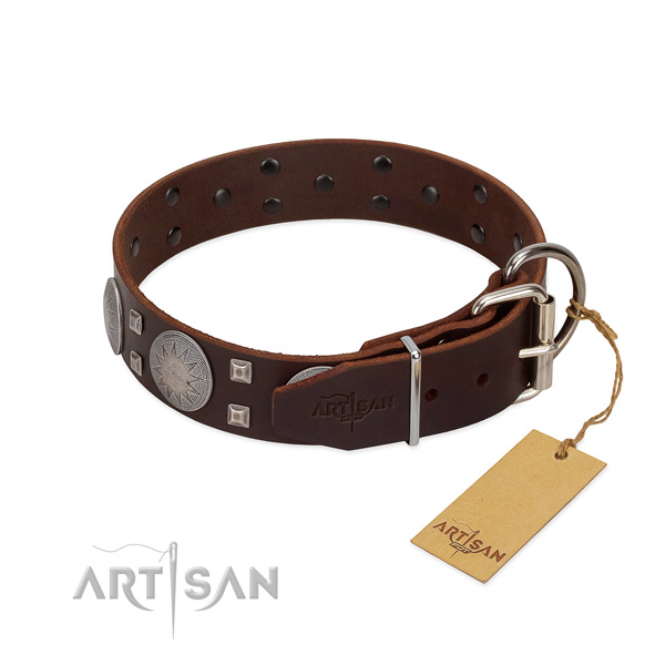 Inimitable genuine leather dog collar for walking your doggie