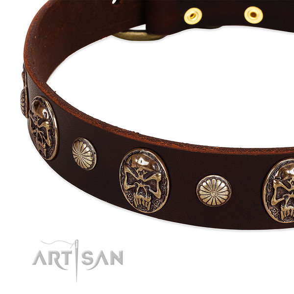 Leather dog collar with studs for daily walking