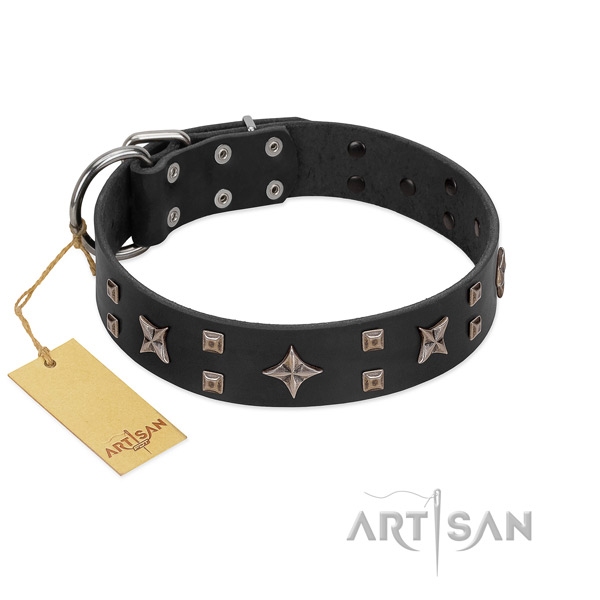 Rust resistant adornments on full grain natural leather dog collar for your four-legged friend