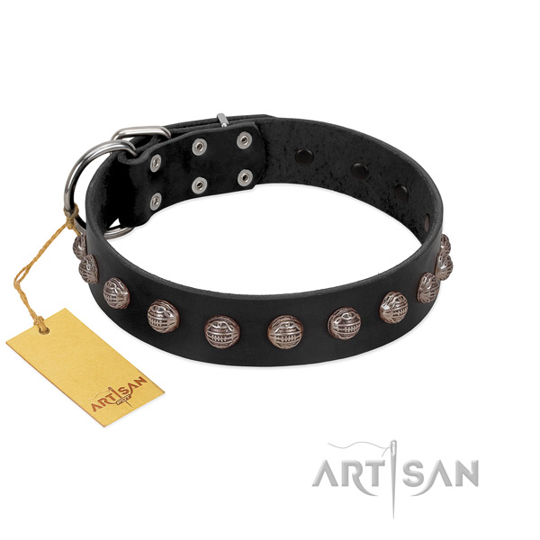 Rust resistant fittings on extraordinary leather dog collar