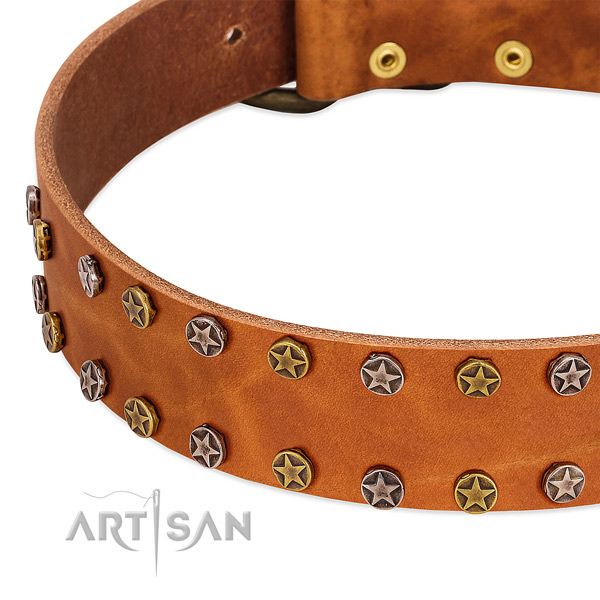 Comfy wearing full grain genuine leather dog collar with amazing adornments